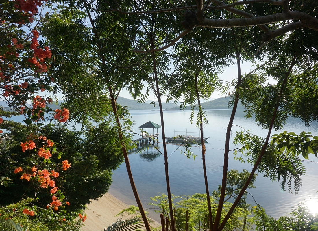 The resort grounds