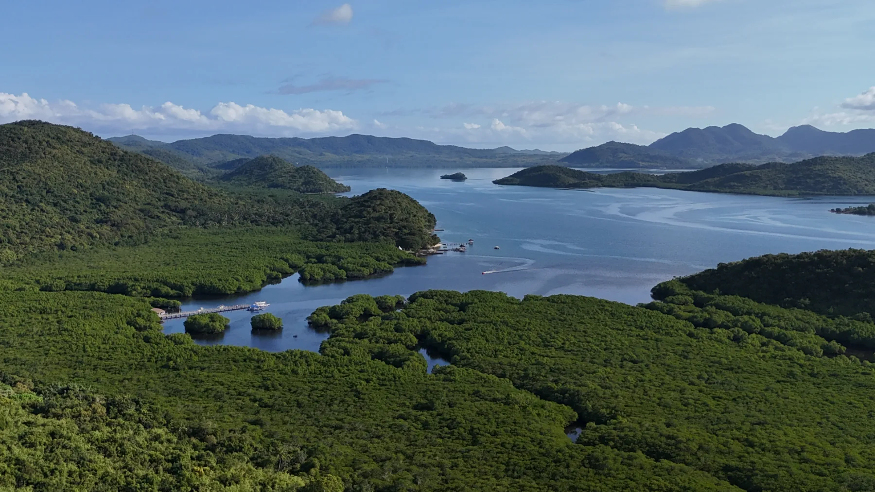 Mangrove channels in Busuanga